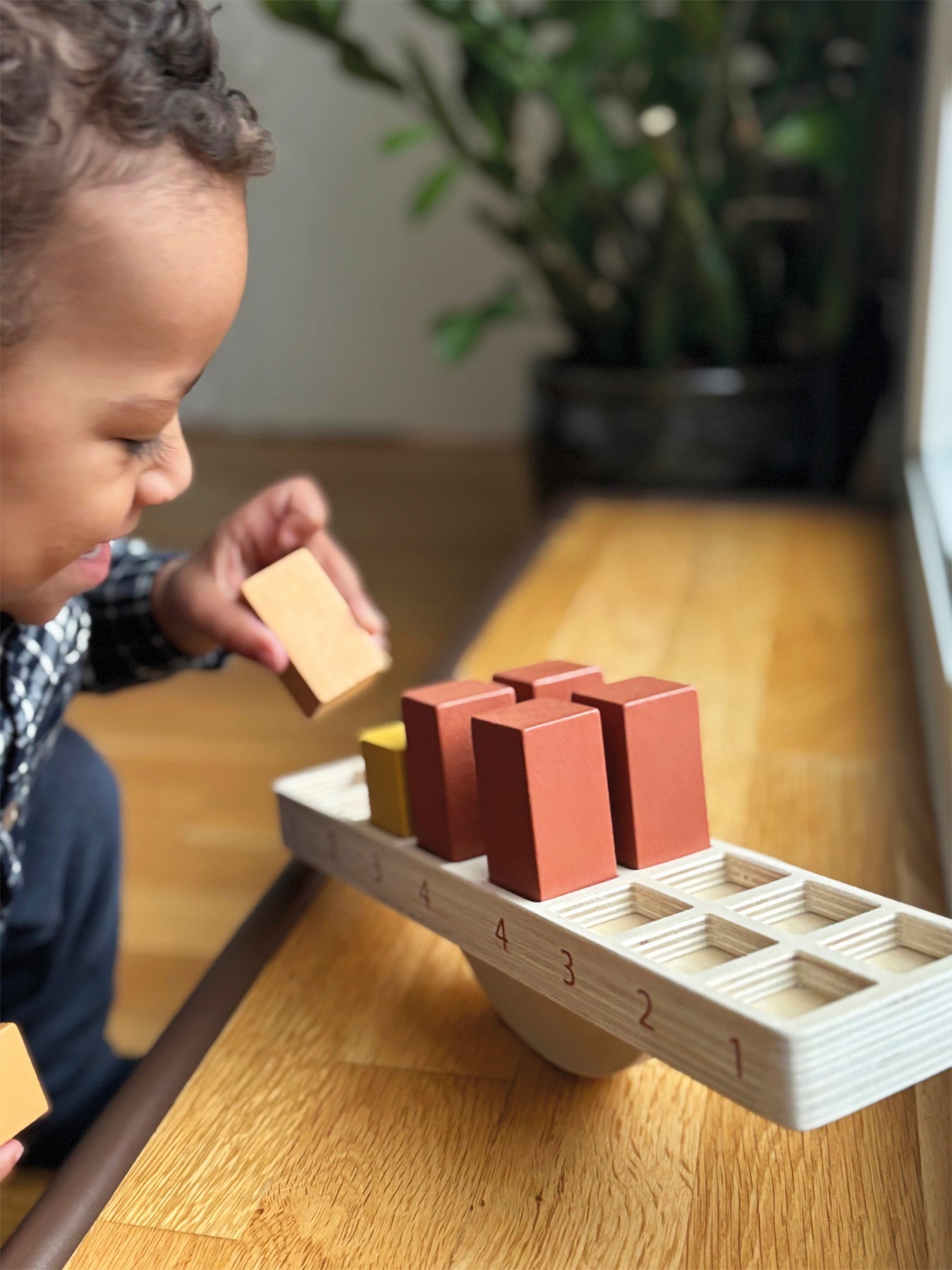 Montessori igra ravnoteže - slika 2